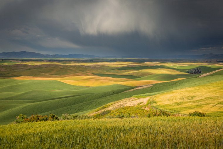 012 Steptoe Butte SP.jpg